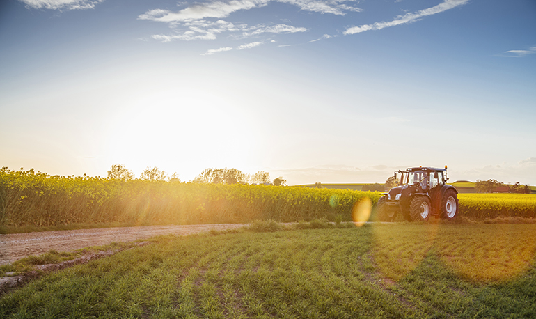 agricoltura studio granata consulenti del lavoro Giugliano